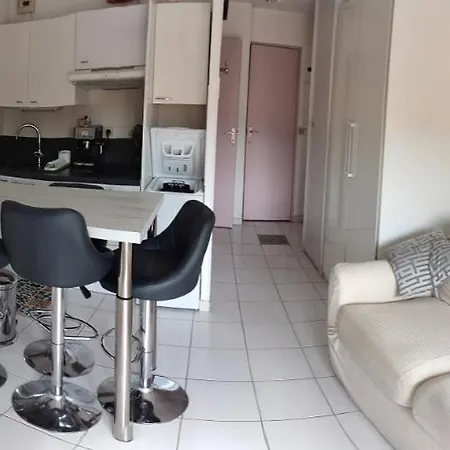 شقة , Entre Cannes Et Antibes A Pied, Gare, Piscine, Garage Prive